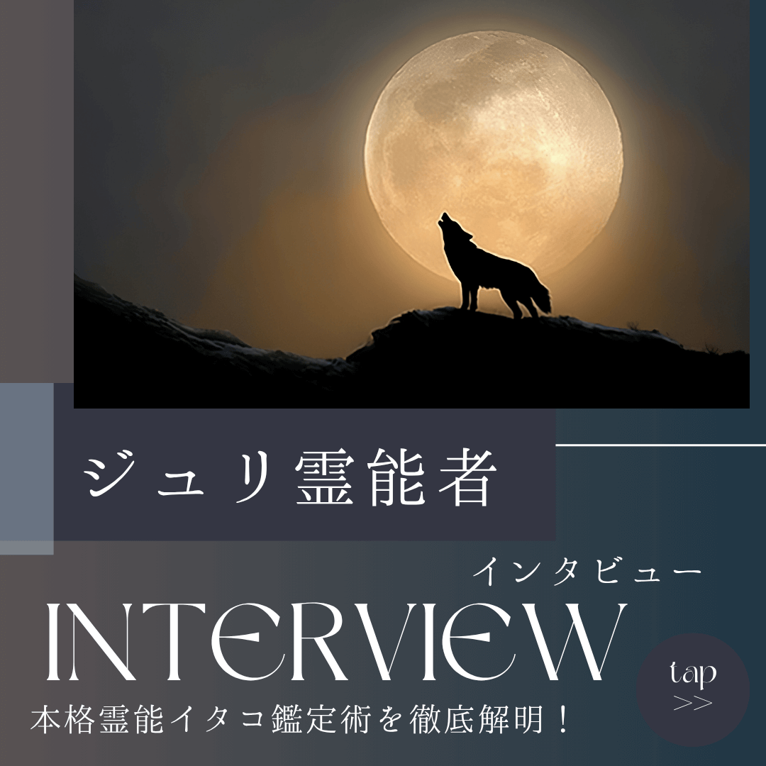 インタビュー 第15回