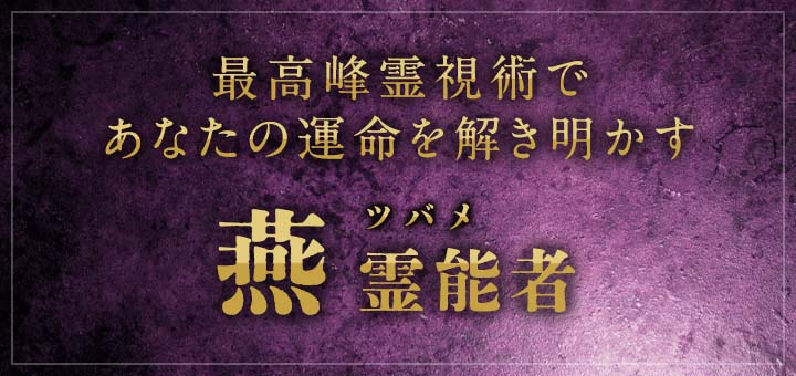 デビュー：燕(ツバメ)